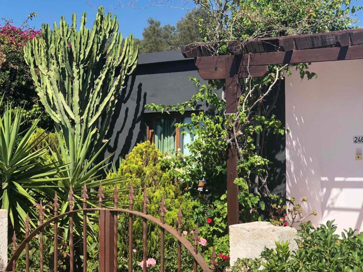 Spiti Damianos Villa Beachfront بوموس المظهر الخارجي الصورة